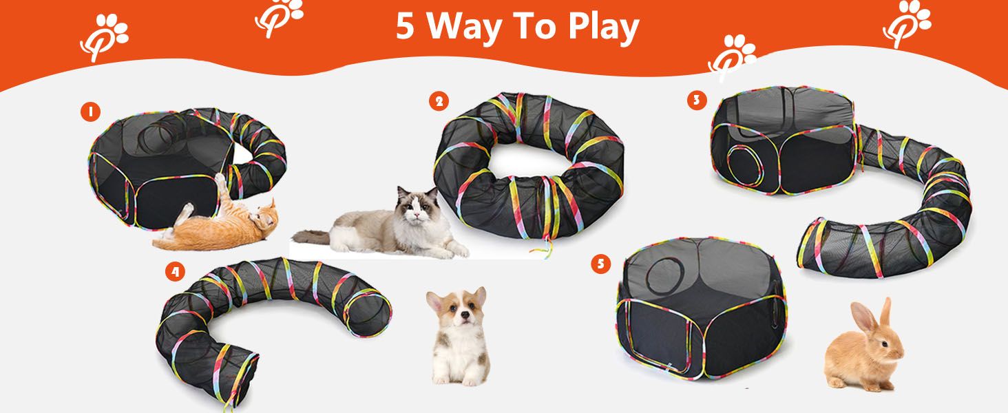 cat toys