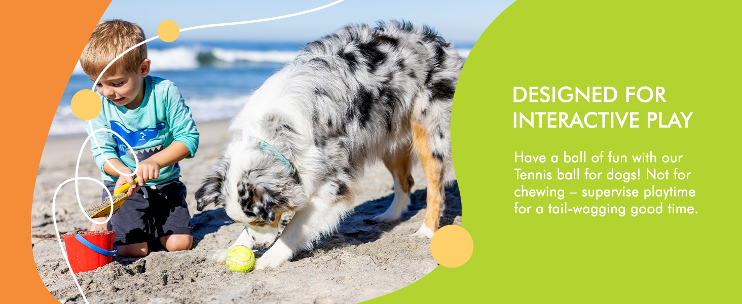 Hyper PetI Tennis Balls