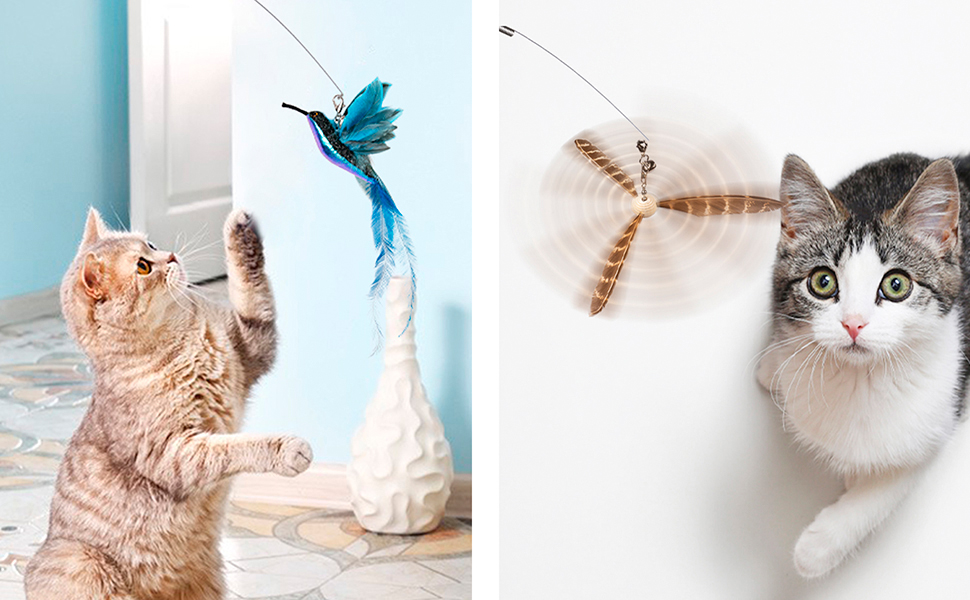 cat bird toy