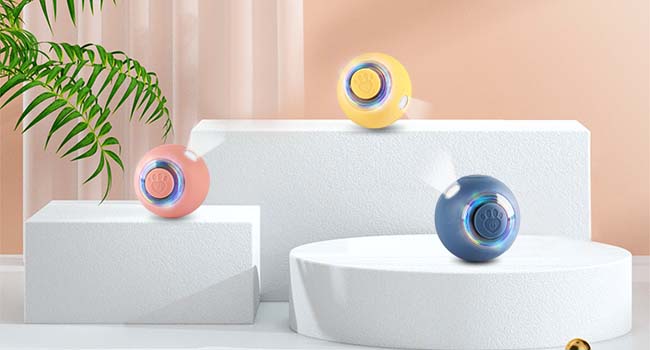 cat interactive toys