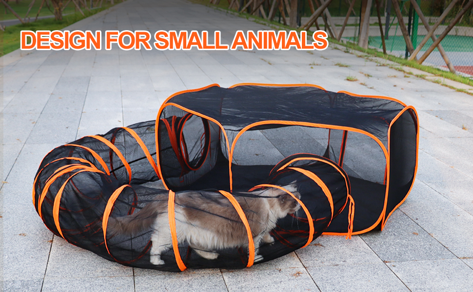 cat tent