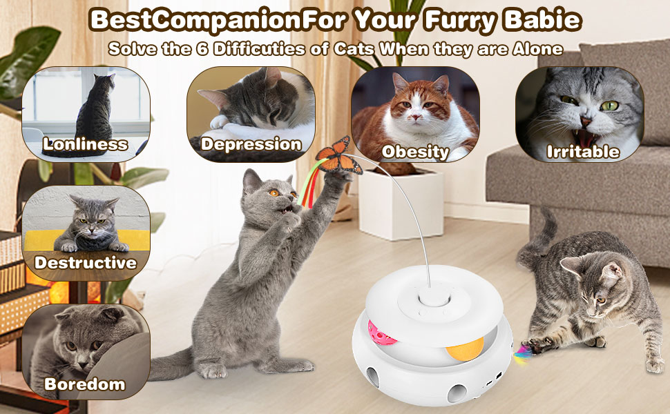 cat toy