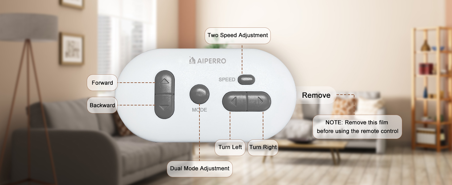 remote control cat toy