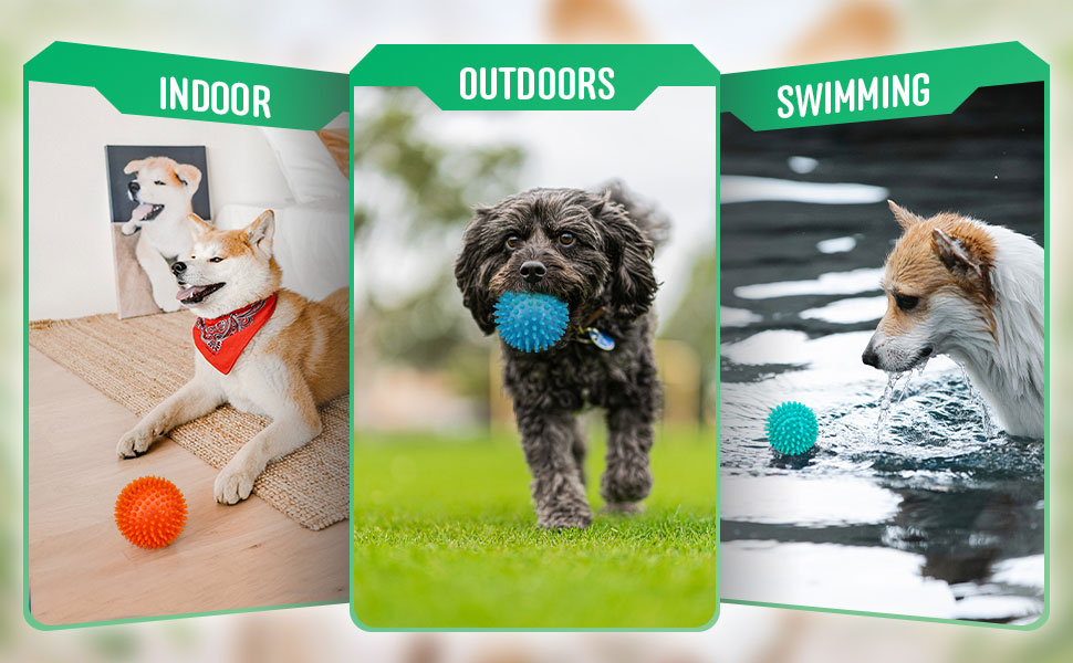 dog toys