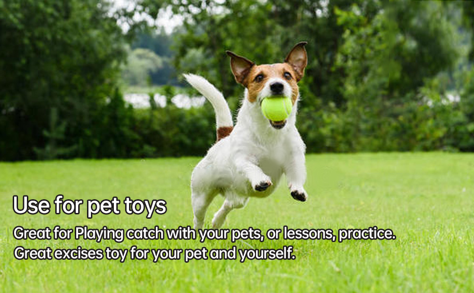 Tennis Balls