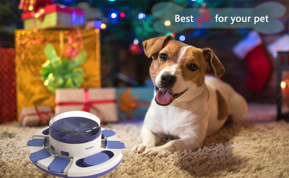 best gift for your pet