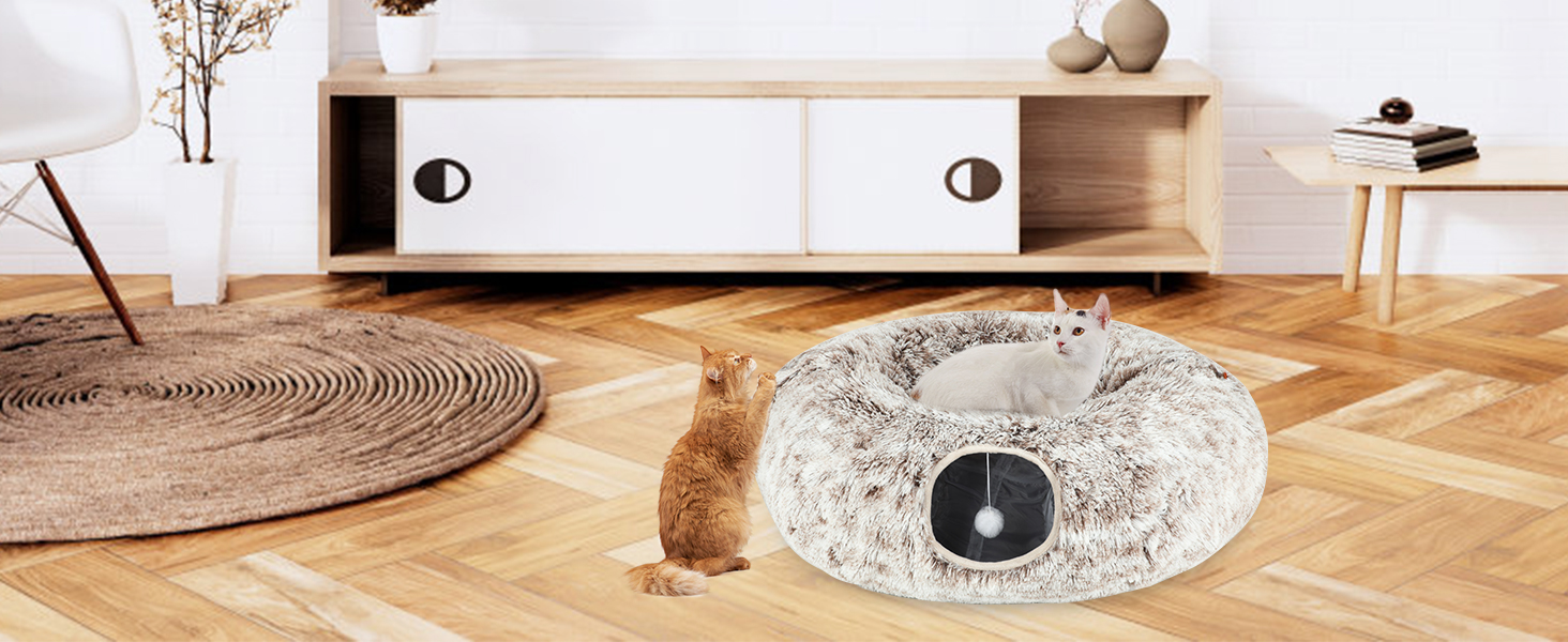 Kitten Cat Tunnel
