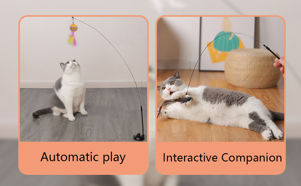 cattoys'