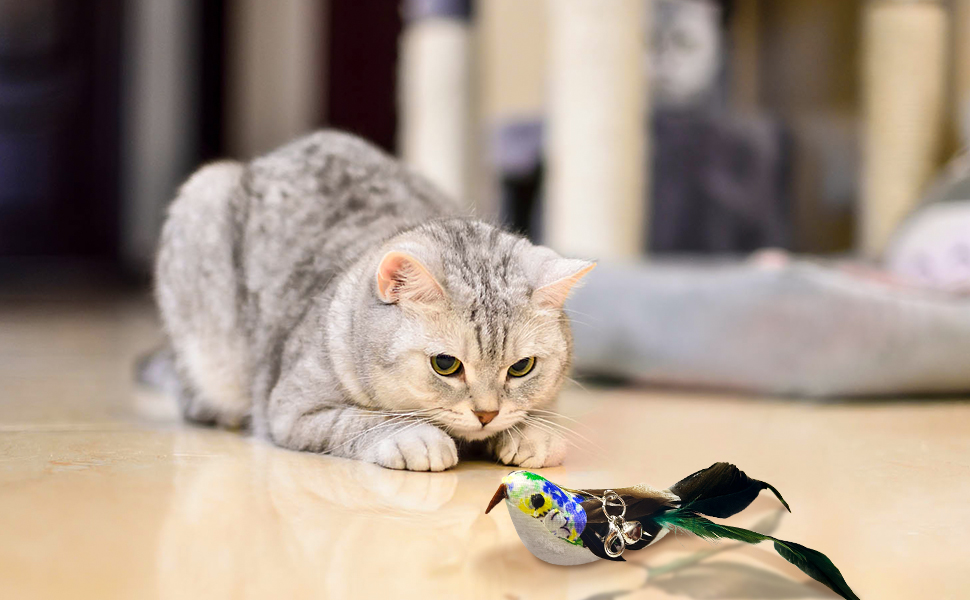 Feather Toys