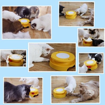 Cat Toy, Interactive Cat Toys for Indoor Cats, Automatic Cat String Toy for Cat Exercise, Fit for Most Cats (Blue)