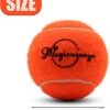 Tennis Balls, 20 Pack Tennis Balls for Dogs, Pet Dog Playing Balls, Come with Mesh Bag for Easy Transport, Colorful Easy Catching Pet Dog Balls (Multi-Color)