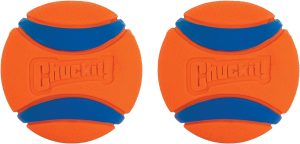 Ball Dog Toy, Medium (2.5 Inch Diameter) Pack of 2, for breeds 20-60 lbs