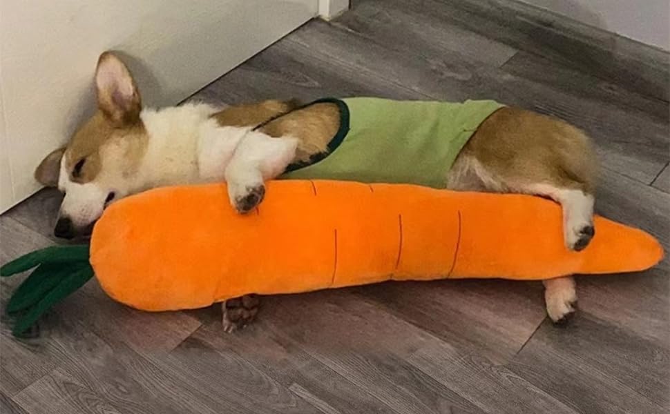 carrot1