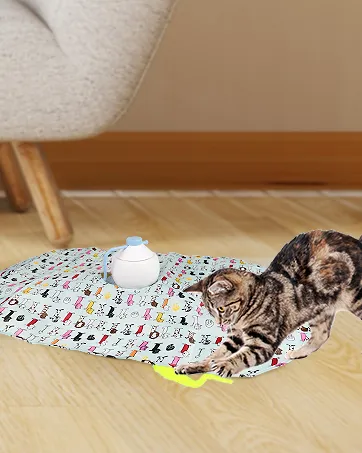 cat toys