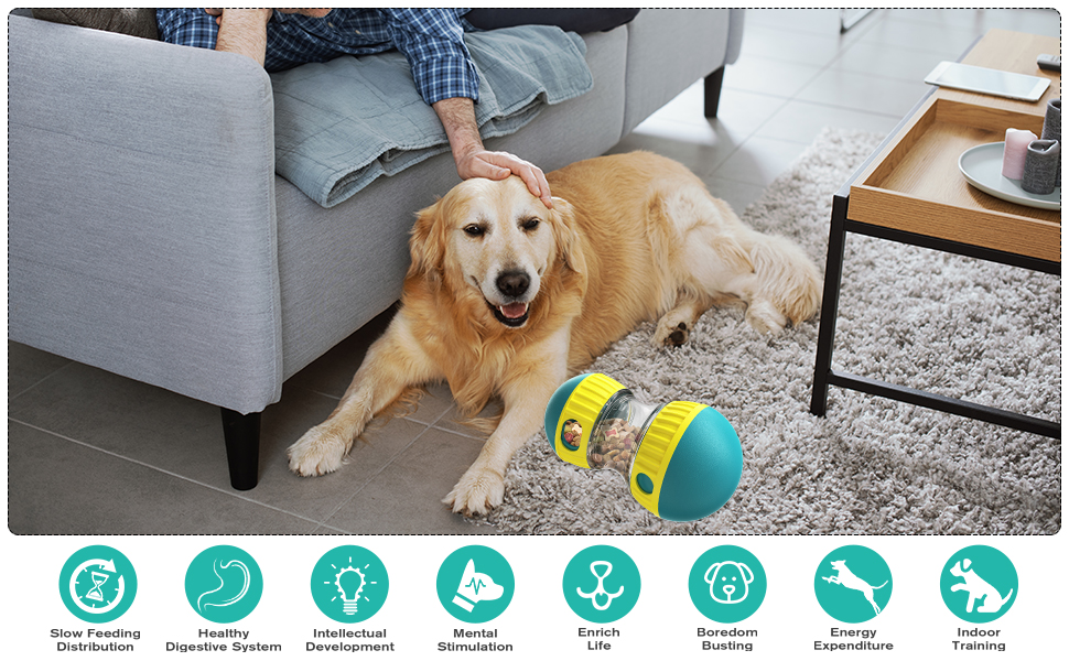 dog puzzle toy
