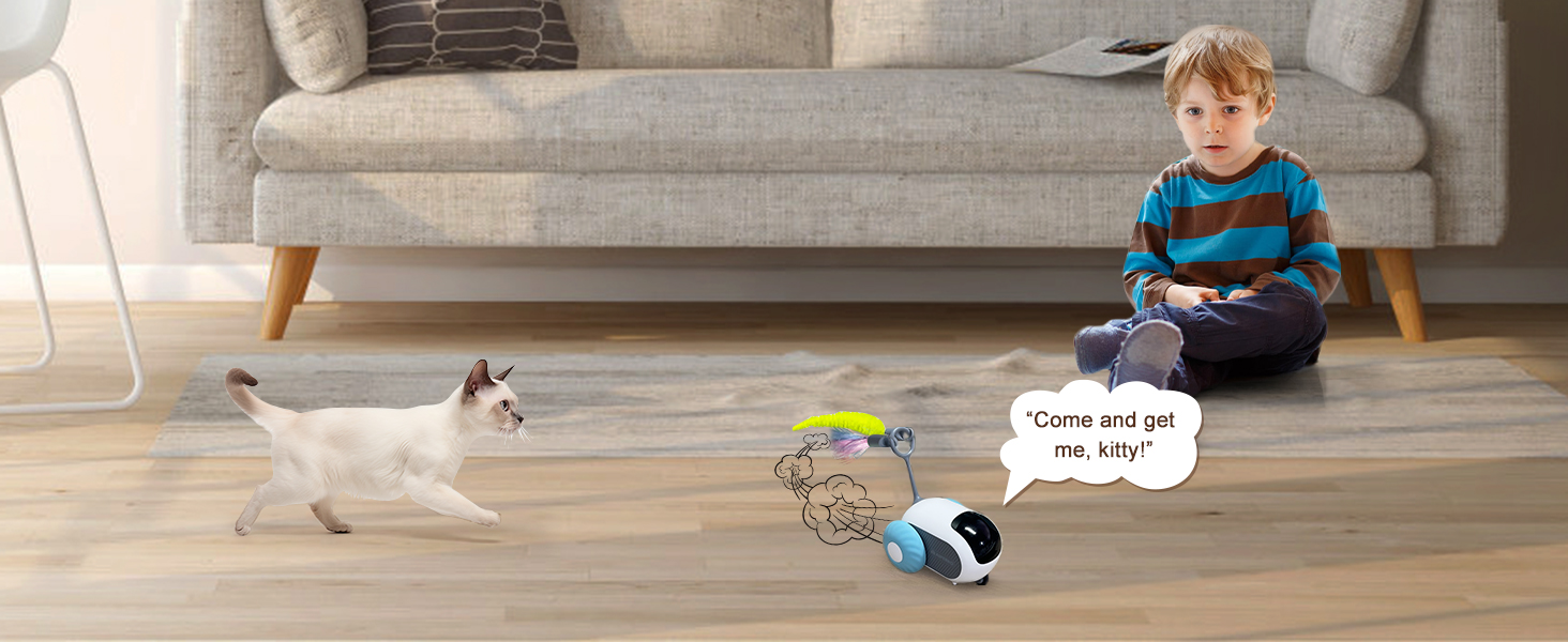 smart cat toys
