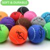 Tennis Balls, 20 Pack Tennis Balls for Dogs, Pet Dog Playing Balls, Come with Mesh Bag for Easy Transport, Colorful Easy Catching Pet Dog Balls (Multi-Color)