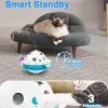 3 in 1 Smart Cat Toys, Interactive Cat Roly Poly Toy, Electric Indoor Kitten Toys, Fluttering Butterfly,Random Whack-A-Mole Mice, 1 Pcs Catnip Balls,Auto On/Off (Blue)