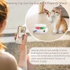 3-in-1 Cat Toy: Interactive Fun with Fluttering Butterfly, Ambush Feather, and Track Balls. USB Powered for Indoor Exercise (Bright White)