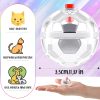 15 Pieces Ghost Hunting Cat Ball Light up Cat Balls Motion Activated Interactive Cat Toy Small LED Glowing Pet Ball for Animal Dog Running Activity Indoor Supplies, 1.38 x 1.5 Inches