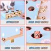 Cat Enrichment Toys for Indoor Cats, Whack-A-Mole Cat Puzzle Toy, Corrugated Cardboard Cat Scratching Post, Indoor Cat Scratching Post Toy, Safe and Fun Paw Scratcher, Exercise Puzzle for All Ages