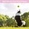 Tennis Balls, 20 Pack Tennis Balls for Dogs, Pet Dog Playing Balls, Come with Mesh Bag for Easy Transport, Colorful Easy Catching Pet Dog Balls (Multi-Color)