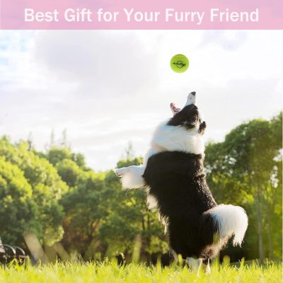 Tennis Balls, 20 Pack Tennis Balls for Dogs, Pet Dog Playing Balls, Come with Mesh Bag for Easy Transport, Colorful Easy Catching Pet Dog Balls (Multi-Color)