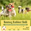11 Pcs Dog Squeaky Toys Squeaky Latex Dog Toys Soft Chew Rubber Dog Toy Rubber Chew Toys for Dogs Assorted Animal Pet Toys Puppy Fetch Pet Interactive Play for Small and Medium Pets
