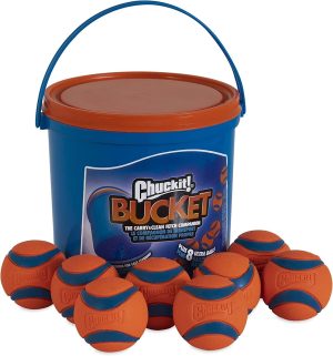 Ultra Ball Dog Toy, Medium (2.5" Diameter), Pack of 8 with Chuckit Cleaning Bucket
