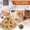 Cat Ball Track Toy,Kitty Toys Roller,3-Level Ball Tower with 9 Removable Balls,Interactive Cat Toy, DIY Circle Fun Toy for Kitten Mental Physical Exercise