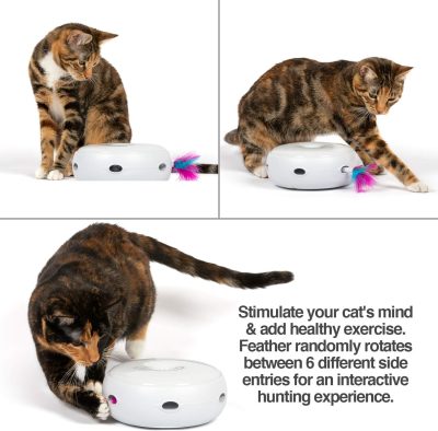 Interactive Cat Toys for Indoor/Outdoor Activity - New & Improved Cat Feather Toys Replacement Feathers Available 12 Month Warranty