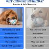 Interactive Dog Toys for Boredom, Bouncing Ball for Dogs with Motion Activated, Active Rolling Ball for Dogs