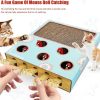 Cat Enrichment Toys for Indoor Cats, Whack-A-Mole Cat Puzzle Toy, Corrugated Cardboard Cat Scratching Post, Indoor Cat Scratching Post Toy, Safe and Fun Paw Scratcher, Exercise Puzzle for All Ages