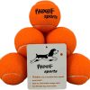Dog Tennis Balls 12 Orange Tennis Balls for Dogs. Easy to Find! includes Carrying Bag. Medium Size Balls Fits Standard Ball Launchers