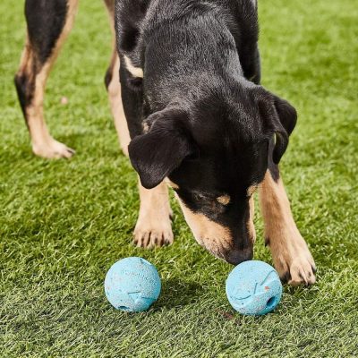 Fetch Medley Dog Ball Dog Toys, Medium (2.5 Inch) Pack of 3, for Medium Breeds, Includes Whistler, Max Glow and Rebounce Balls