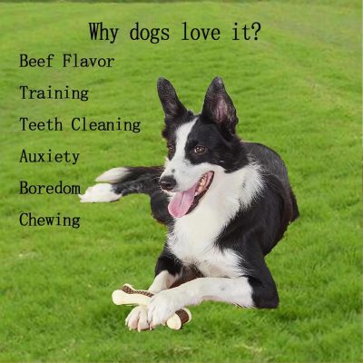 Dog Bones Chew Toys for Aggressive Chewers, 6 Pack Real Beef Flavor,Indestructible Dog Teething Chew Toys for Large/Medium/Small Puppies Breed,Tough Pet Toy with Nylon
