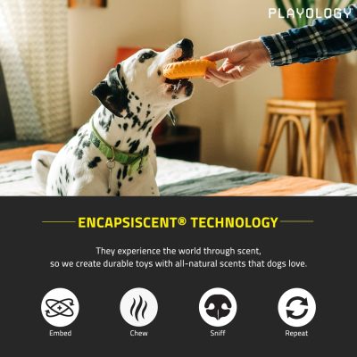 Layer Ring Toy for Large Dog (35lbs & up) - Engaging All-Natural Cheddar Cheese Scented Durable Dog Chew Toys for Aggressive Chewers - Easy to Clean - Interactive & Non-Toxic