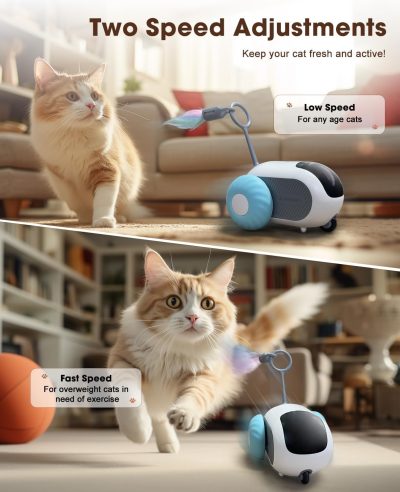Cat Toys for Indoor Cats, Smart Interactive Cat Toy with 2-Speed Adjustment, Remote Control & USB Rechargeable Automatic Cat Exercise Toys for Bored Indoor Adult Cats Kittens (Blue)