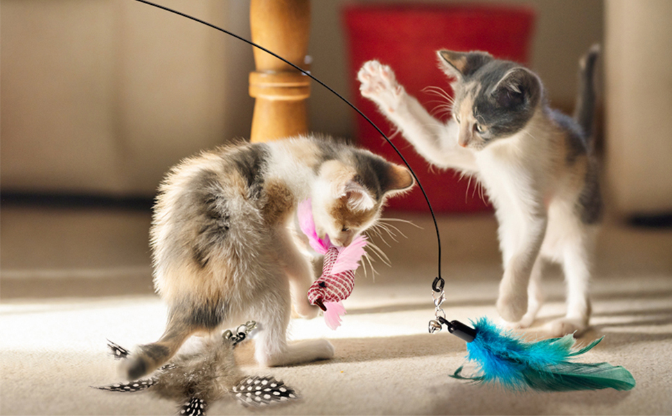 cat toys interactive for indoor cats