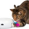 Interactive Cat Toys for Indoor/Outdoor Activity - New & Improved Cat Feather Toys Replacement Feathers Available 12 Month Warranty