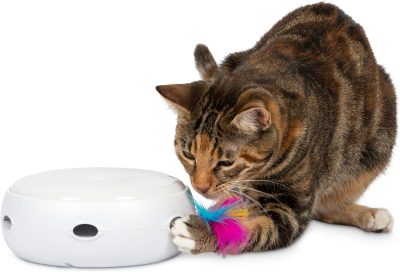 Interactive Cat Toys for Indoor/Outdoor Activity - New & Improved Cat Feather Toys Replacement Feathers Available 12 Month Warranty
