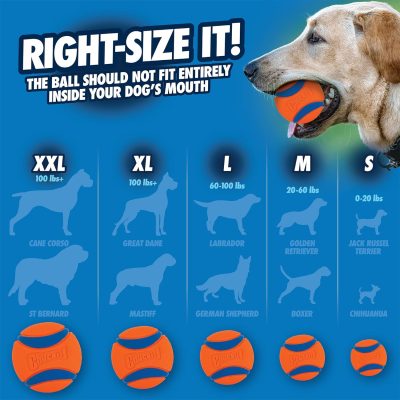 Ball Dog Toy, Medium (2.5 Inch Diameter) Pack of 2, for breeds 20-60 lbs