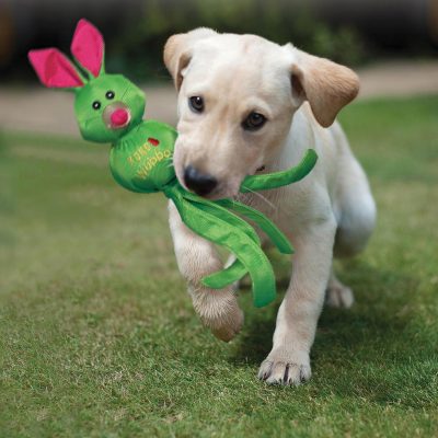 Kong Wubba Dog Size: Large Pack: of 2, Assorted