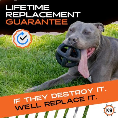 Ring Ball - Lifetime Replacement - Medium & Large Breeds - Ultra Durable Dog Toy for Aggressive Chewers - Chew, Tug, & Fetch - 5.5"