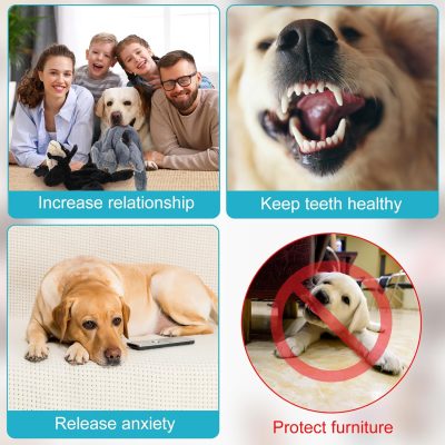 10 Pcs Dog Squeaky Toys No Stuffing Pet Toys Crinkle Dog Toy for Aggressive Chewers Plush Teething Puppy Squeak Toys Animals Chew Toys for Small Medium Large Pets, 10 Styles(Classic Style)