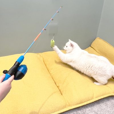 Cat Casting Fishing Pole Toy, Cat Casting Toy Set, Interactive Toy for Cats, Tangle-Free Design, Cat Toy for Indoor Outdoor Cats
