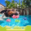 13 Pcs Squeaky Dog Toys Durable Latex Squeaker Puppy Chew Rubber Dog Toys Boredom Animals Interactive Dog Toys Colorful Funny Fetch Toy for Small Medium Breed