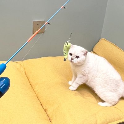 Cat Casting Fishing Pole Toy, Cat Casting Toy Set, Interactive Toy for Cats, Tangle-Free Design, Cat Toy for Indoor Outdoor Cats