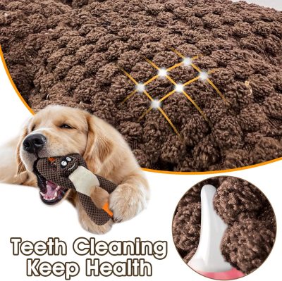 Squeaky Dog Chew Toys for Aggressive Chewers, Dog Toys for Large Medium Small Breed Dog, Indestructible Tough Durable Dogs Toys Interactive Puppy Teeth Clean Natural Rubber(Raccoon & Zombie)