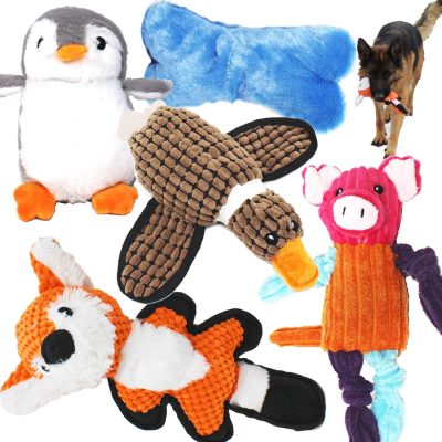5 Pack Value Bundle Dog Toys Assortment Dog Plush Toys Dog Squeaky Toys Assortment Puppy Pet Mutt Dog Toy Dog Squeak Toy for Small Medium Large Dogs